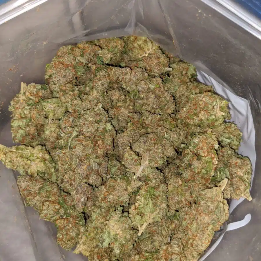 MIXED BERRY 4 I $59 oz - Kushberry
