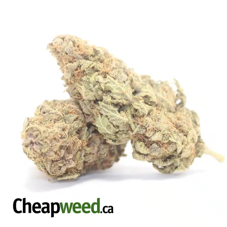 Alternative view of Orange Candy Bulk Special