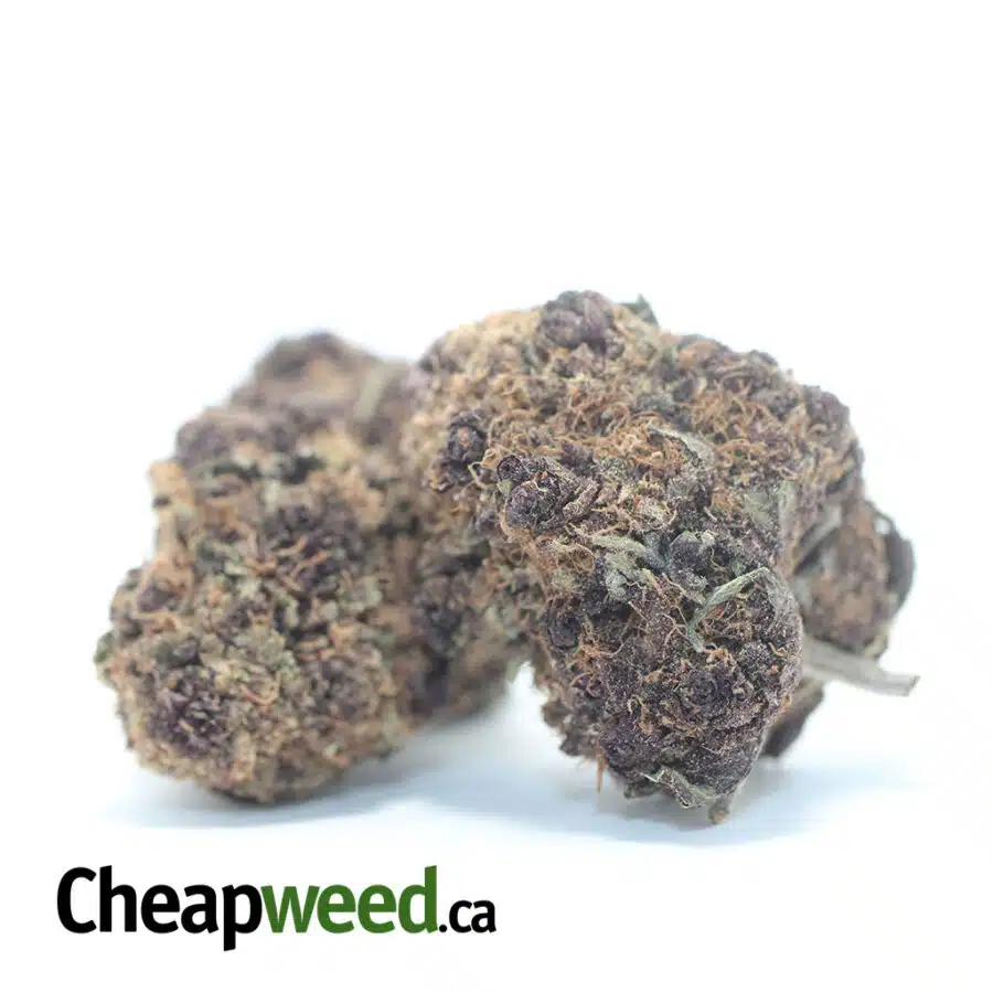 Alternative view of Purple Voodoo AA+