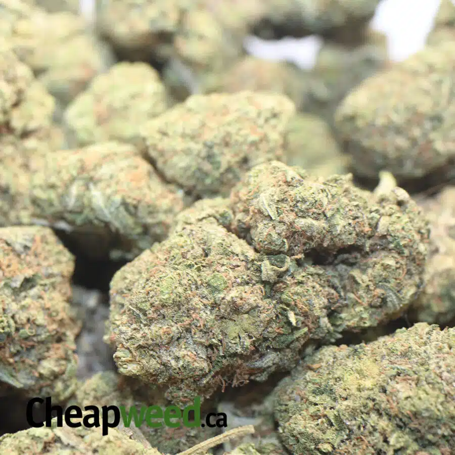 PINK CRACK DOD 1 I Pink Crack - *Deal Of The Day*
