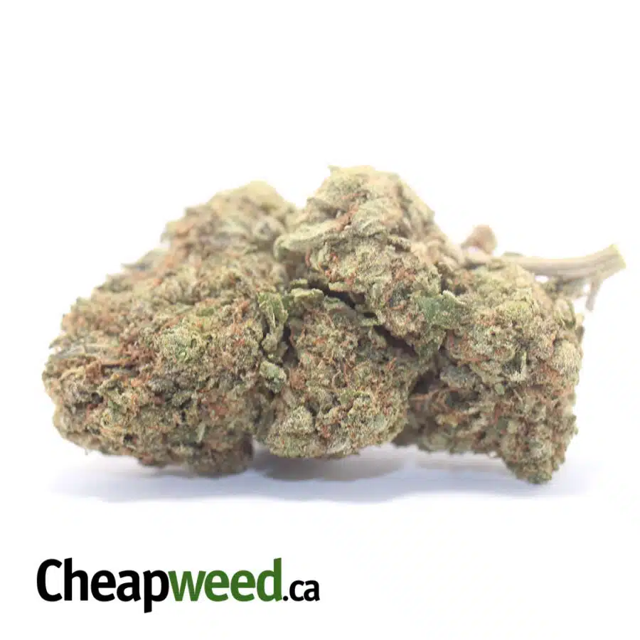 Pink Crack - *Deal Of The Day*