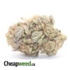 Purple Cosmo - *Deal Of The Day*