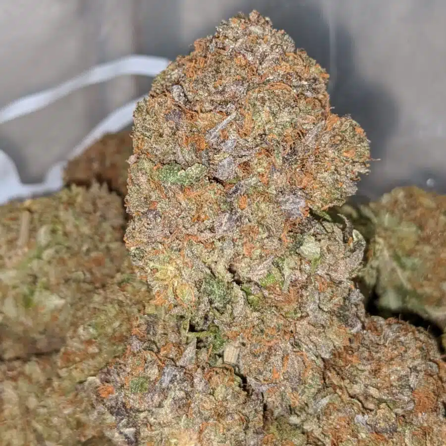 PURPLE SKUNK 1 I Purple Funk
