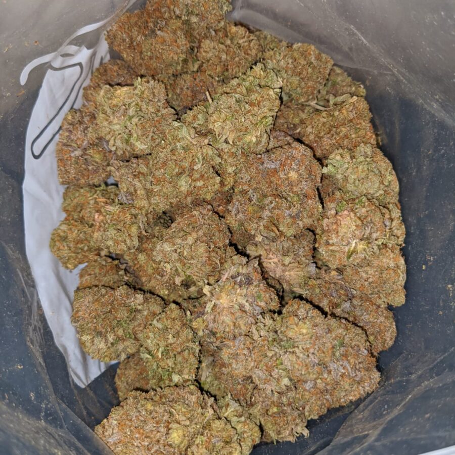 Purple Funk
