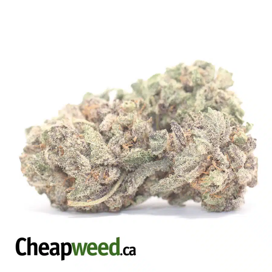 Emma's Purple Widow