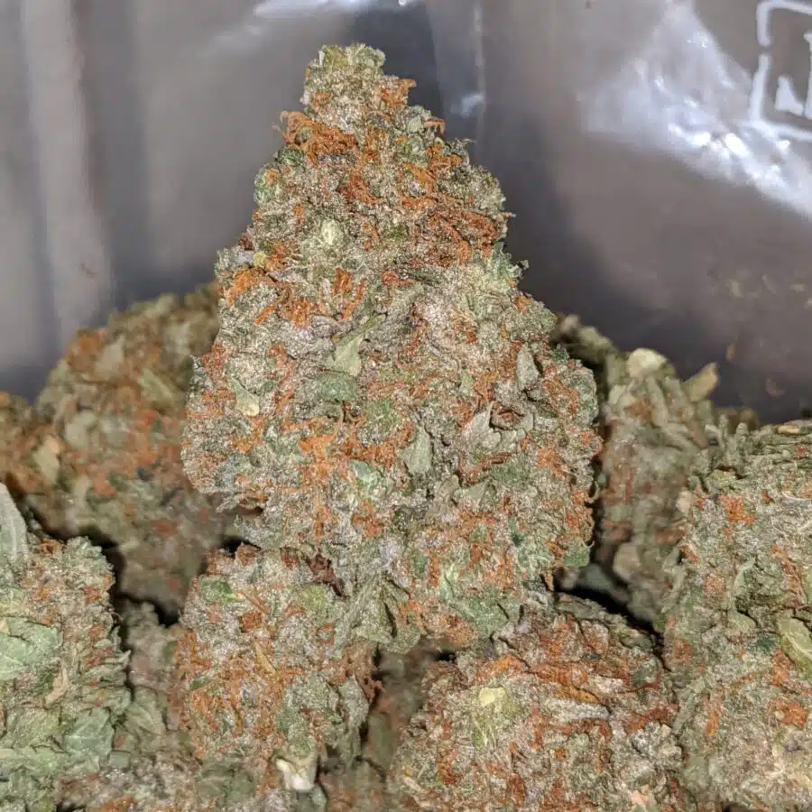 Pecan pie 2 I $59 Oz - Larry Bird