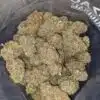 $59 Oz - Larry Bird