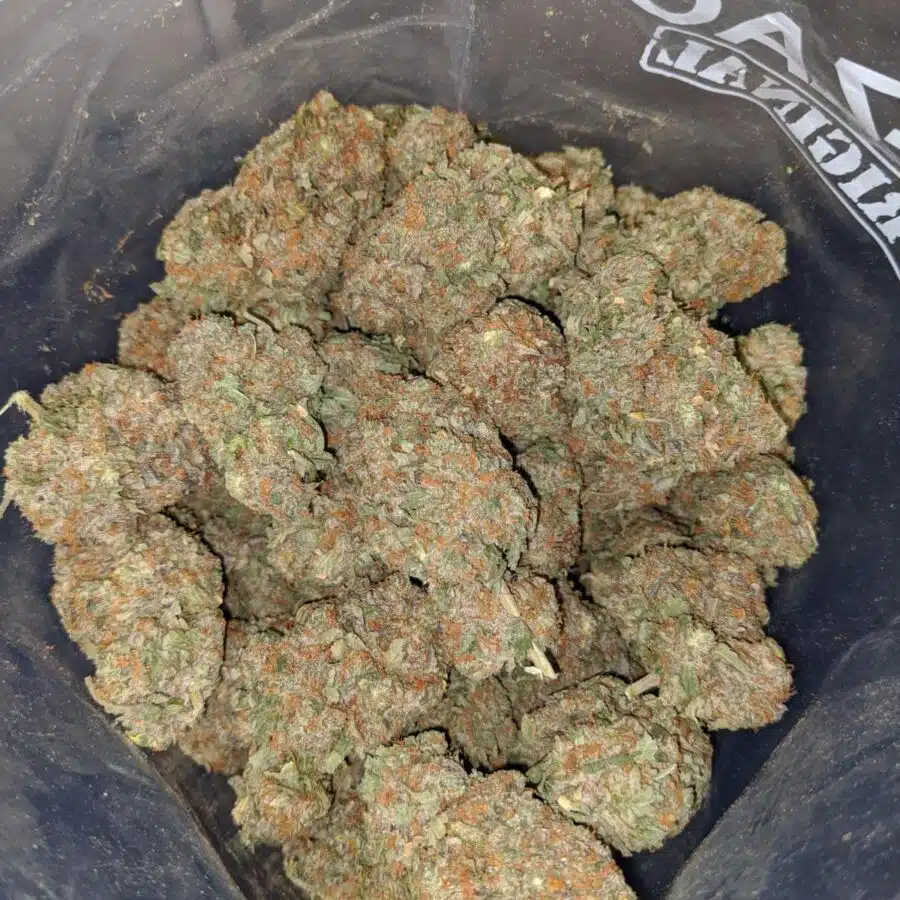 $59 Oz - Larry Bird