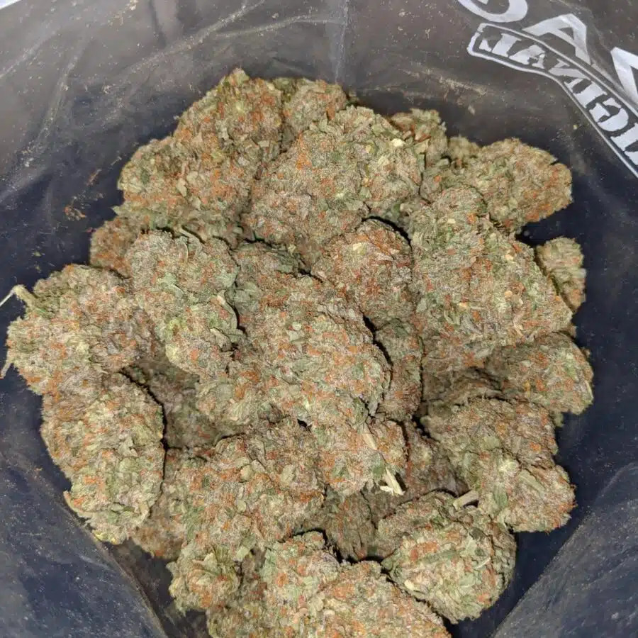 Alternative view of $59 Oz - Larry Bird