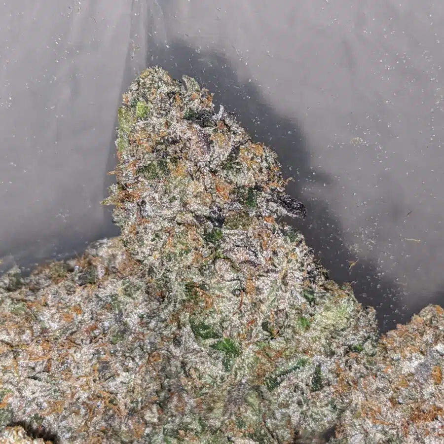 Phantom Og 27.88 1 I Phantom OG