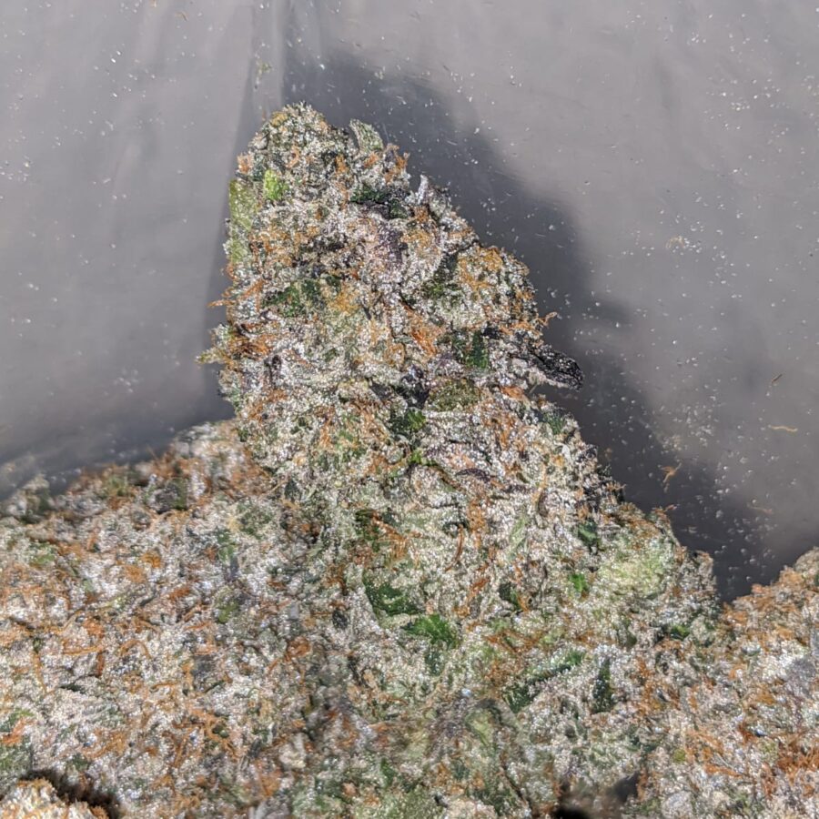 Phantom Og 27.88 2 I Phantom OG