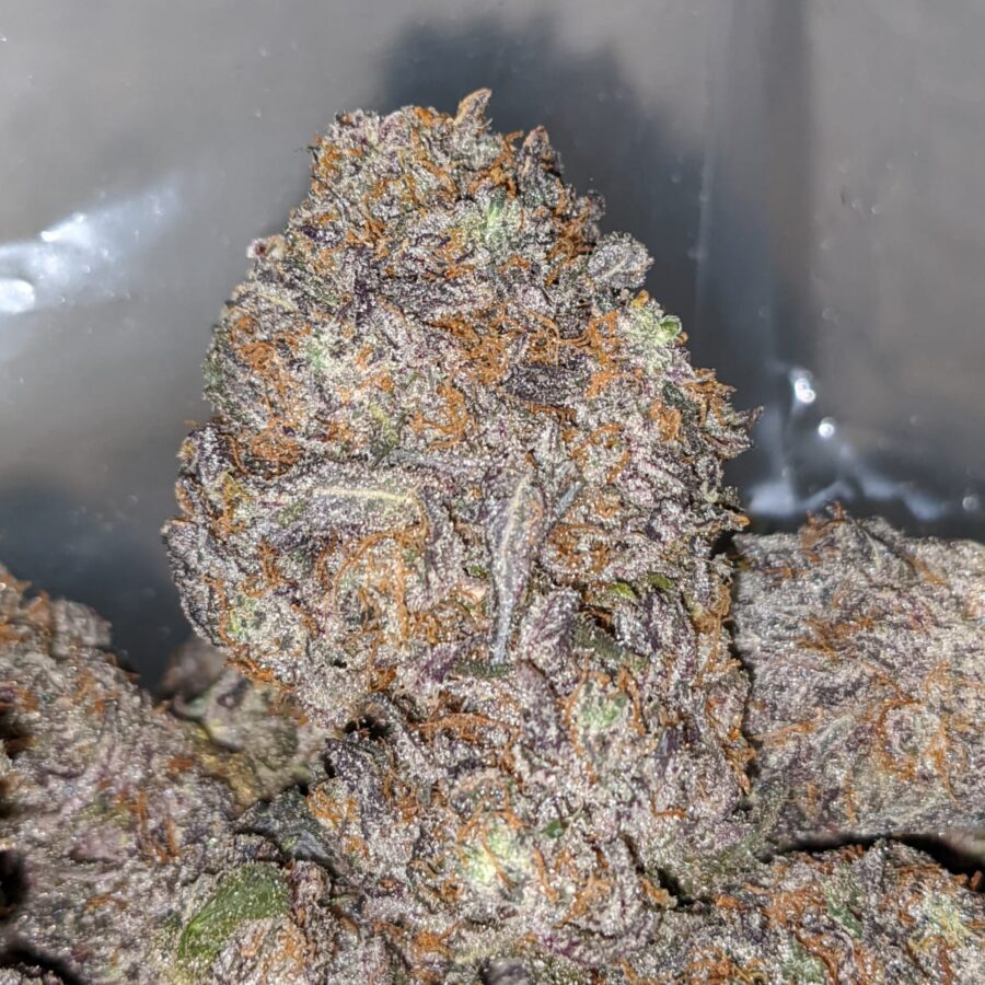 Purple Space Queen 1 I Purple Space Queen