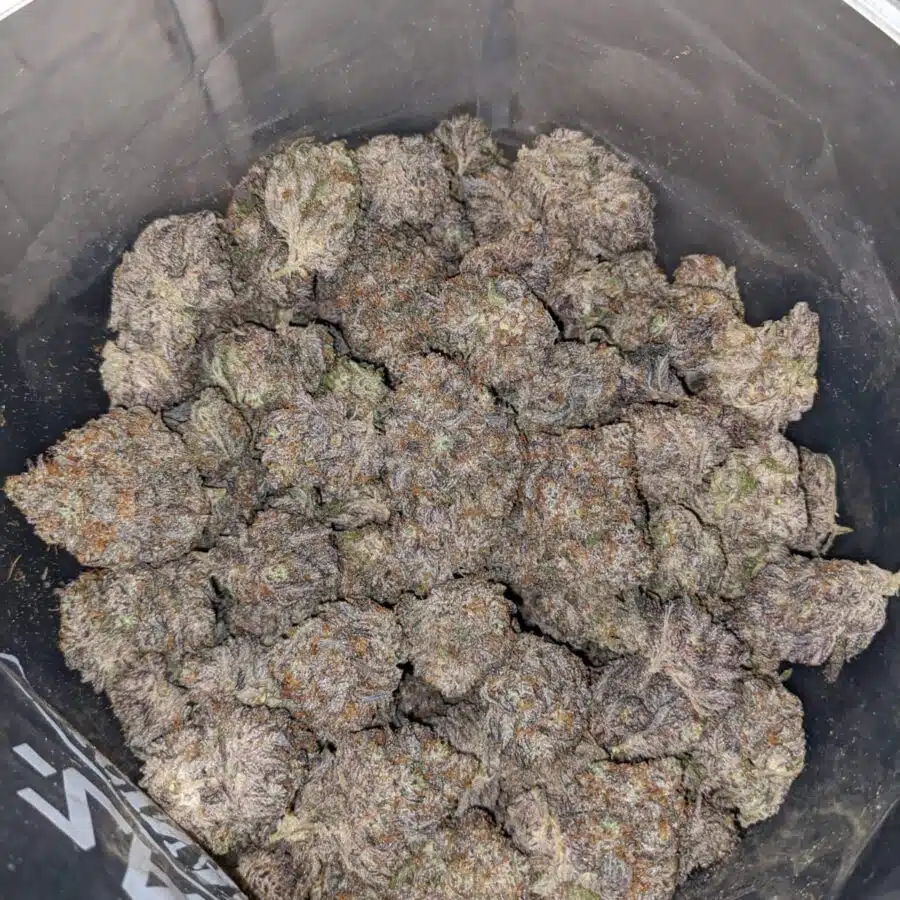 Purple Space Queen