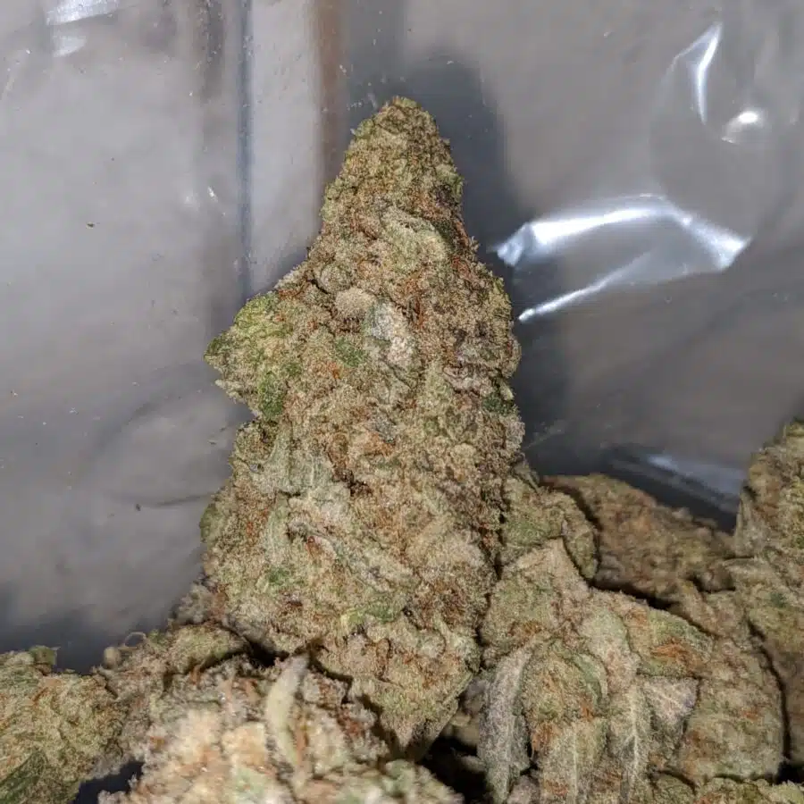 SHARK OG 1 I $85oz - Shark Og