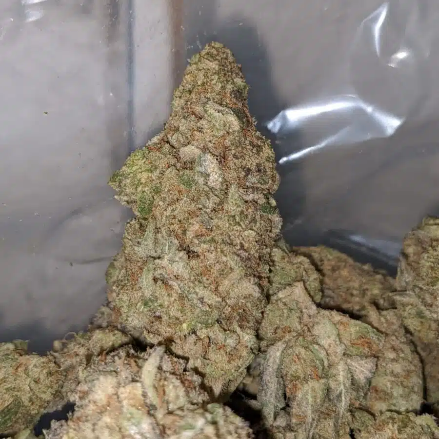 Alternative view of $85oz - Shark Og