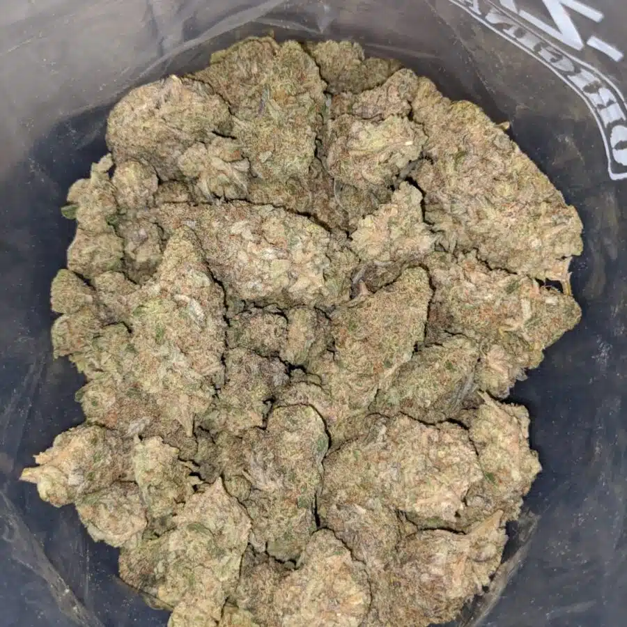 SHARK OG 4 I $85oz - Shark Og
