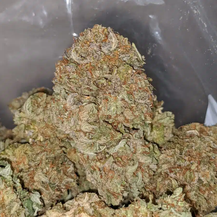 SUGAR SHACK 1 I Yoda OG 2018