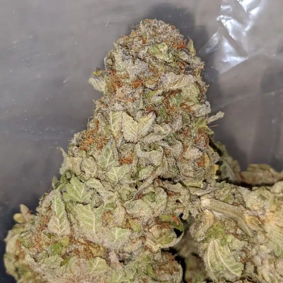 SUPER PINK 1 I Raspberry Bubblegum
