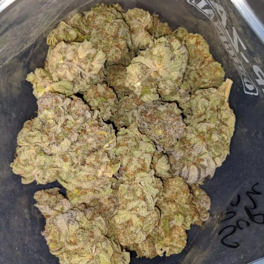 Raspberry Bubblegum