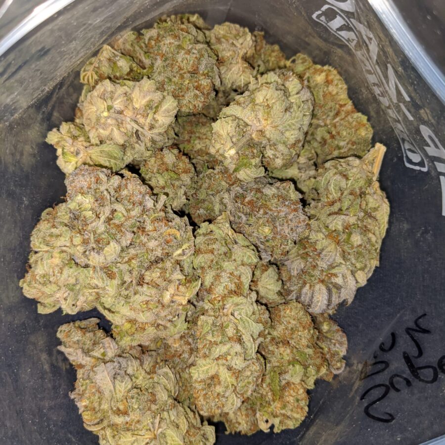 SUPER PINK 4 I Raspberry Bubblegum