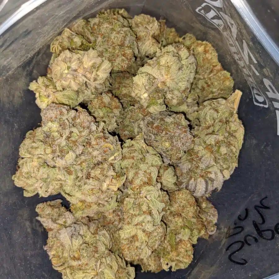 Alternative view of Raspberry Bubblegum