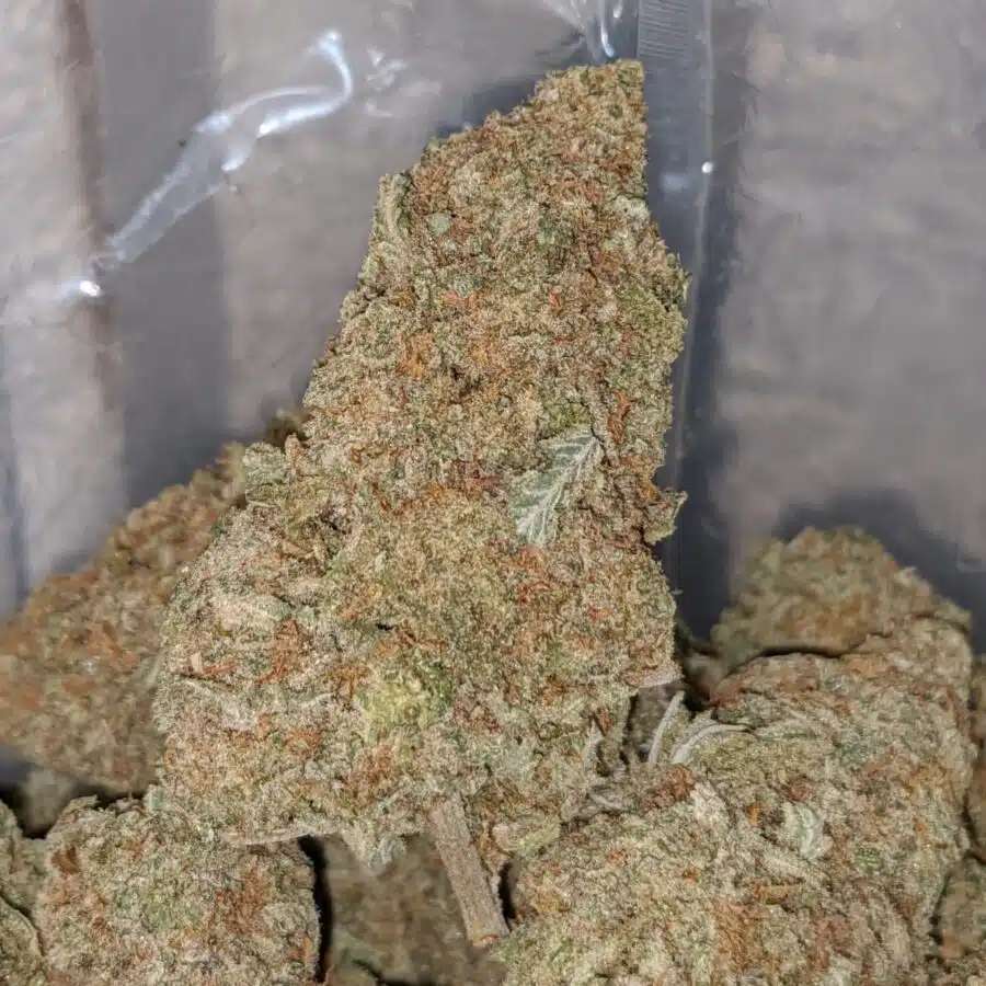 SWEET NUKEN 1 I Mango Ice Cream - *Deal Of The Day*