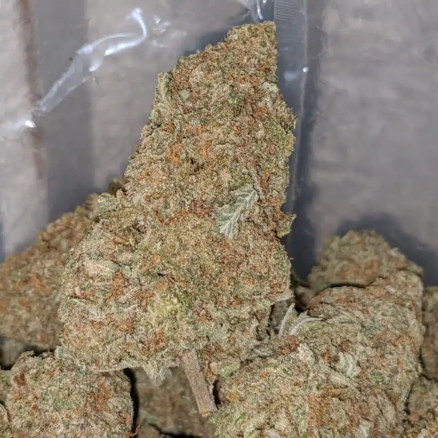 SWEET NUKEN 2 I Mango Ice Cream - *Deal Of The Day*