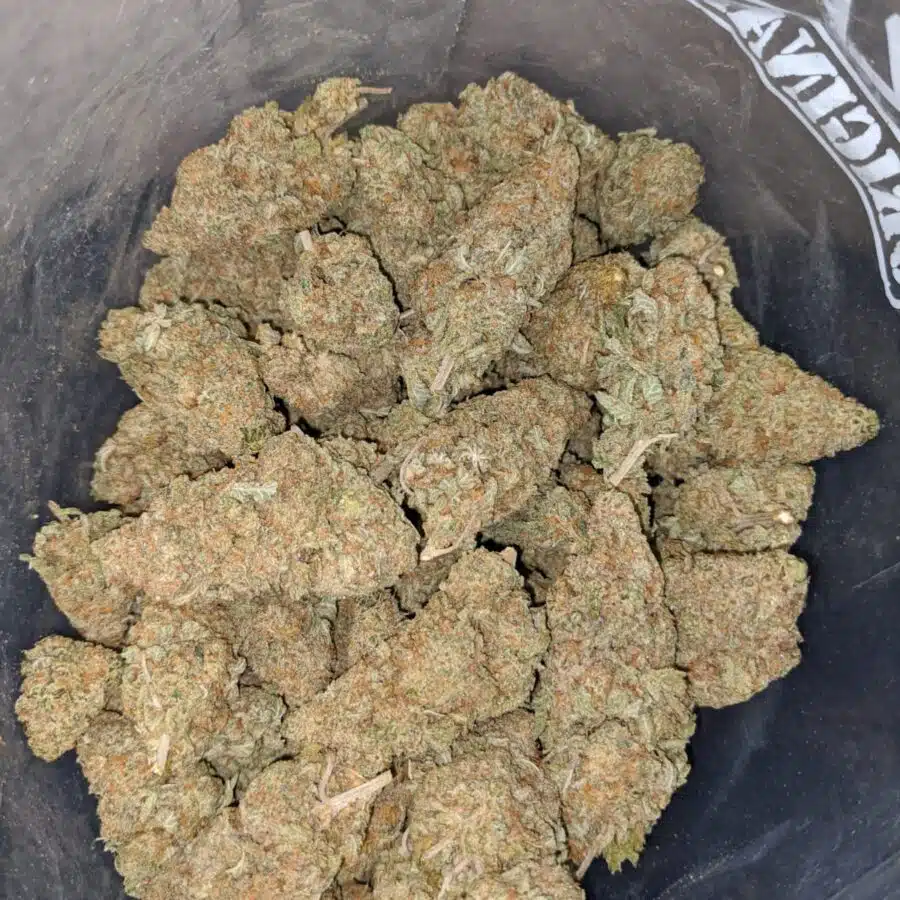 SWEET NUKEN 4 I Mango Ice Cream - *Deal Of The Day*