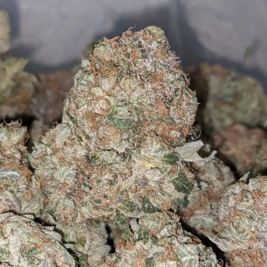 TRAIN WRECK 1 I Trainwreck