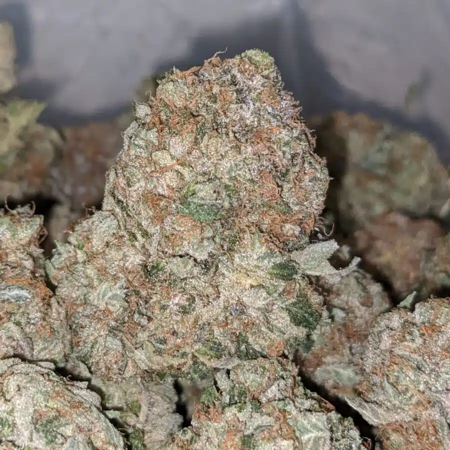 TRAIN WRECK 2 I Trainwreck