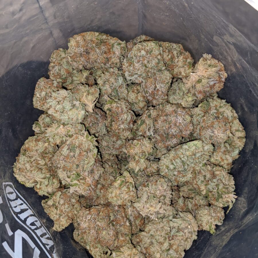 Trainwreck - Image 4