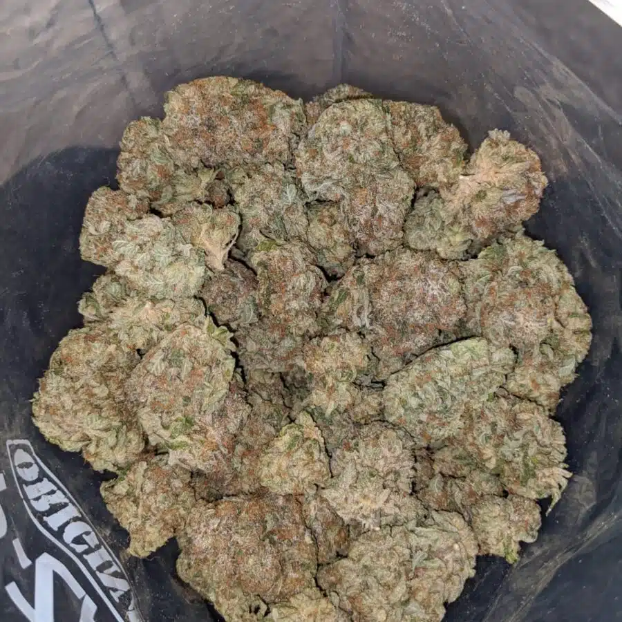 TRAIN WRECK 4 I Trainwreck