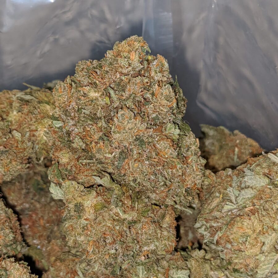 TROPICAL BERRY 1 I Jetfuel Haze
