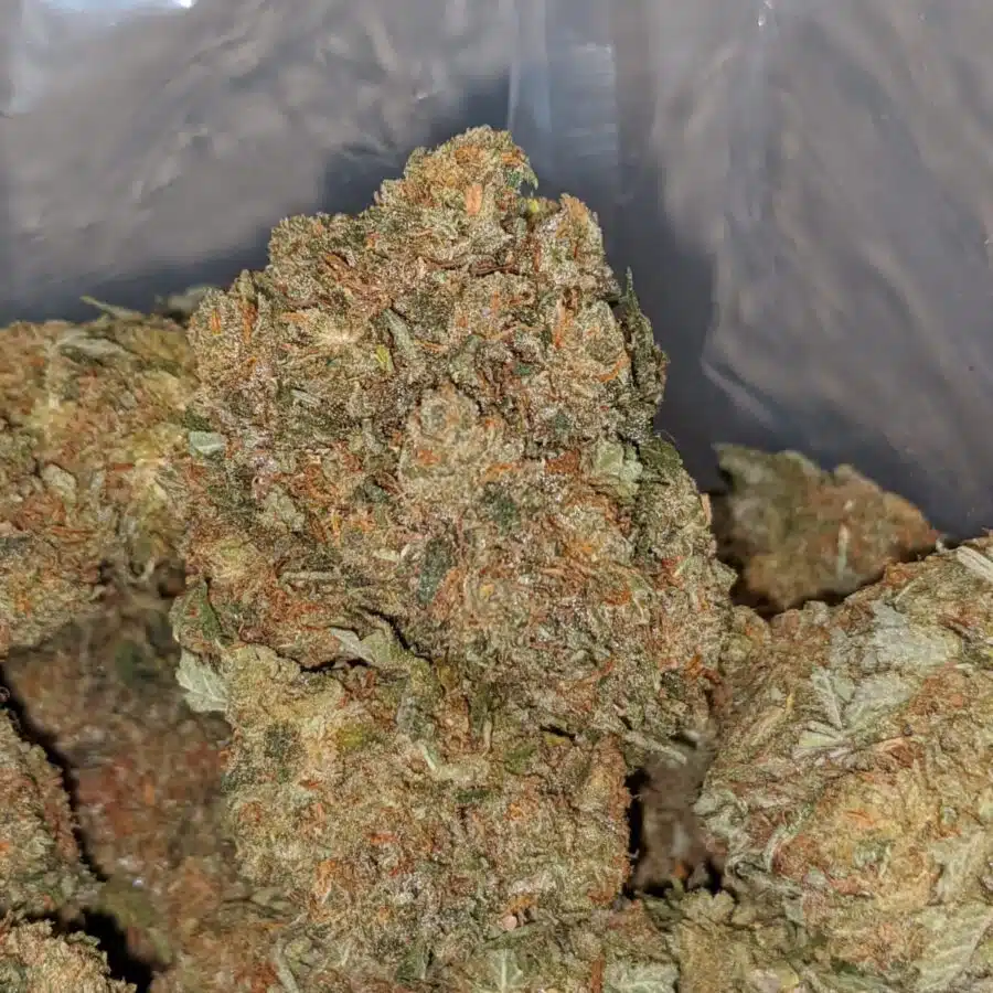 TROPICAL BERRY 1 I Jetfuel Haze