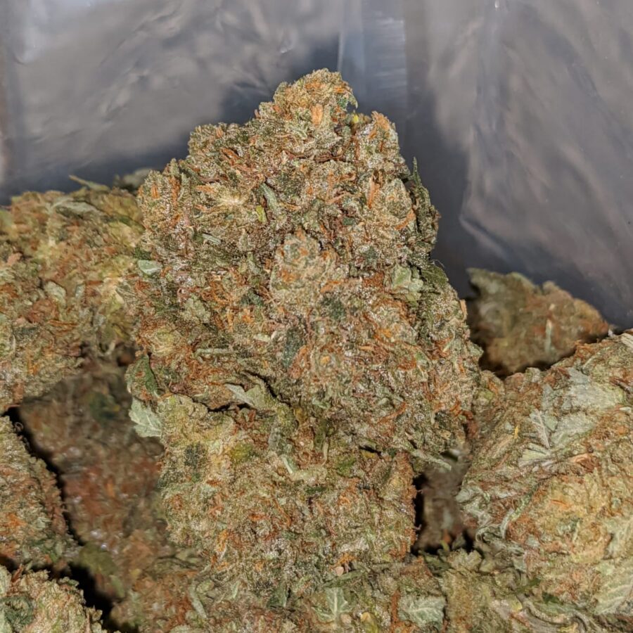 TROPICAL BERRY 2 I Jetfuel Haze