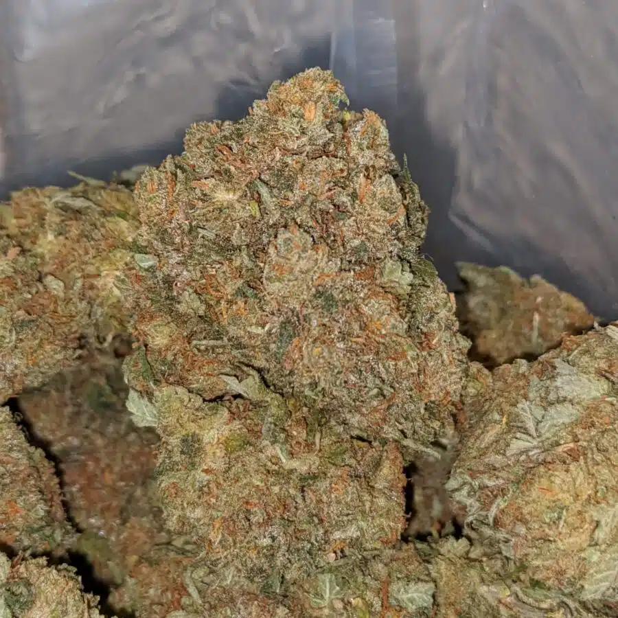 TROPICAL BERRY 2 I Jetfuel Haze