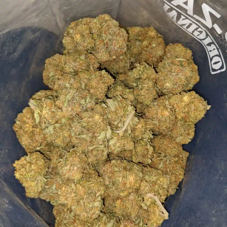 Alternative view of Jetfuel Haze