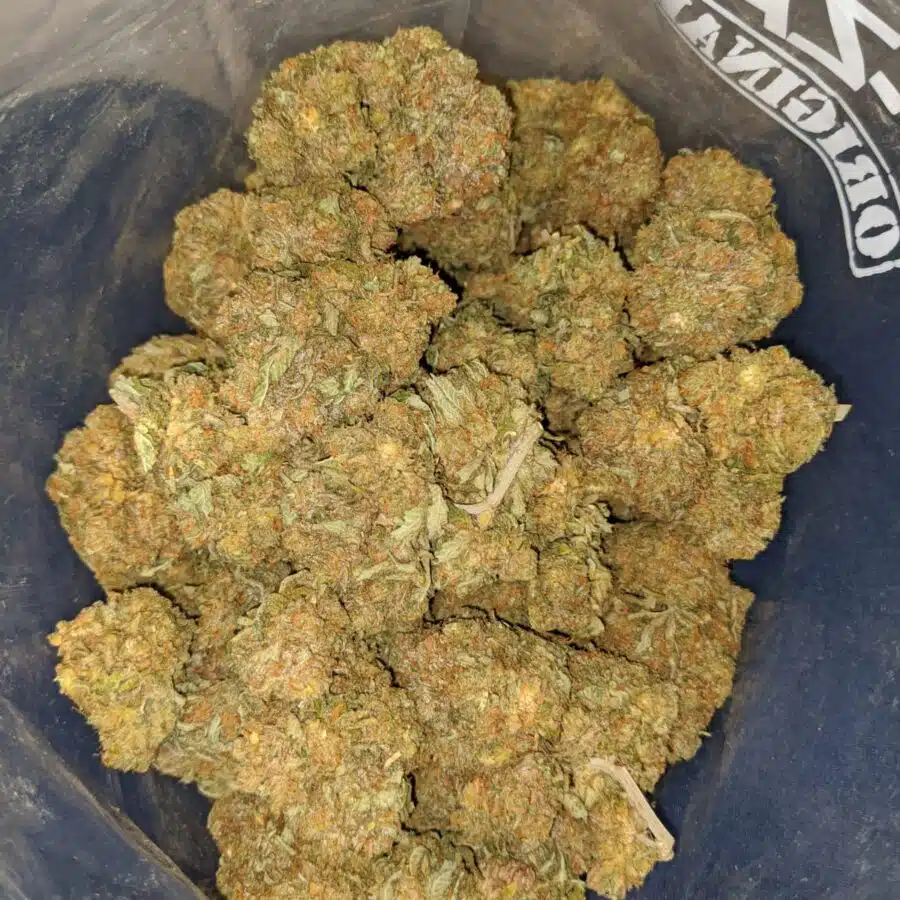 Jetfuel Haze