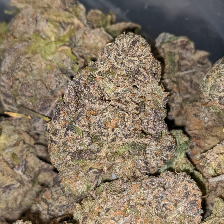 TROPICANA PUNCH 2 I Blueberry - *Deal Of The Day*
