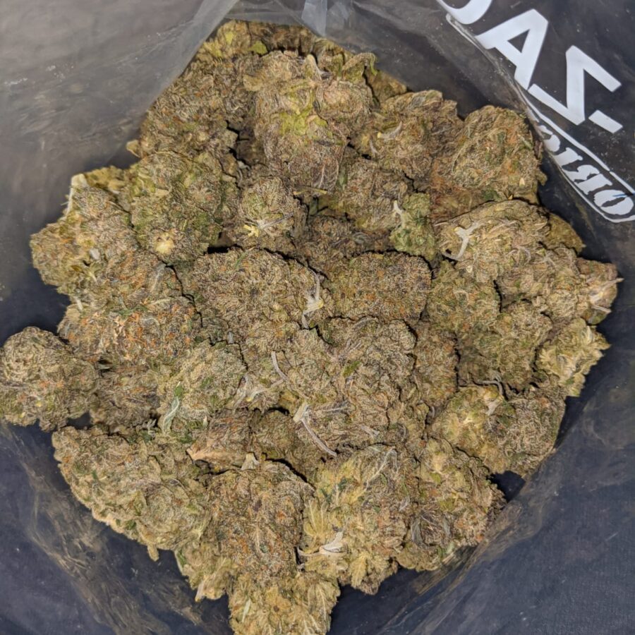 TROPICANA PUNCH 3 I Blueberry - *Deal Of The Day*