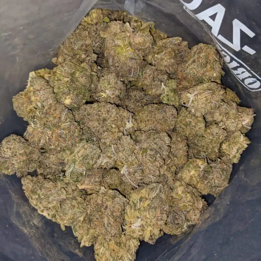 TROPICANA PUNCH 3 I Blueberry - *Deal Of The Day*