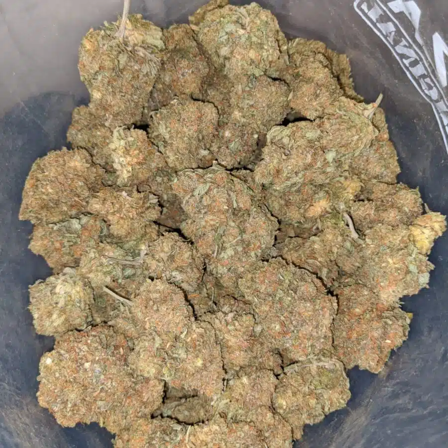 WHITE CRACK DOD 3 I White Crack