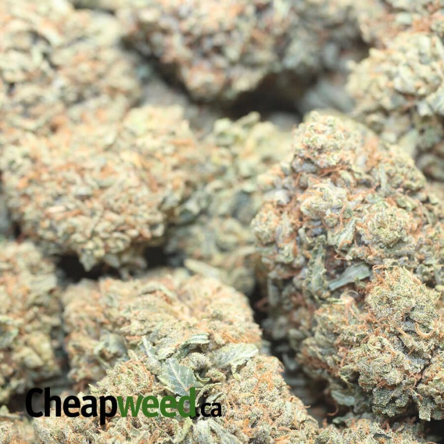 WTF Kush AAA - Image 3