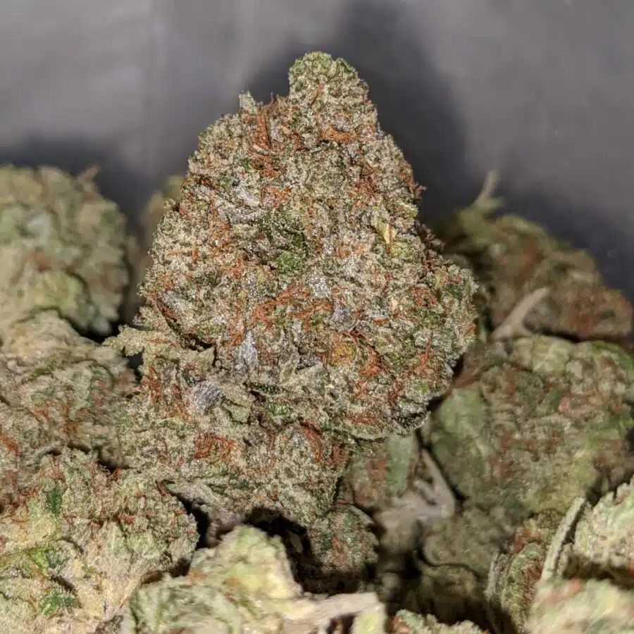 Alternative view of Tonys Platinum Gas