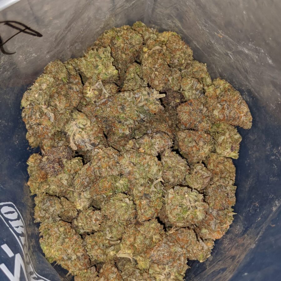 Tonys Wifi Og - Image 7