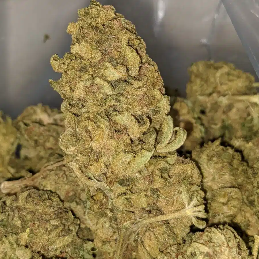 aa sour widow 2 I $25 oz - Sour Widow