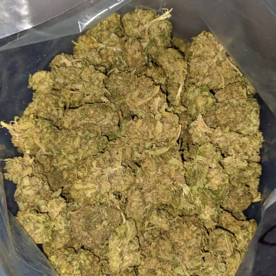aa sour widow 3 I $25 oz - Sour Widow