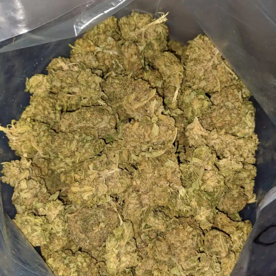 aa sour widow 4 I $25 oz - Sour Widow