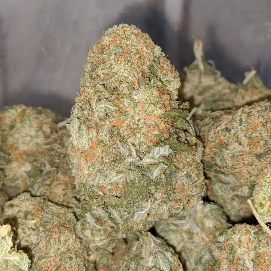 alien cookie dough 1 I Meet The Cookies