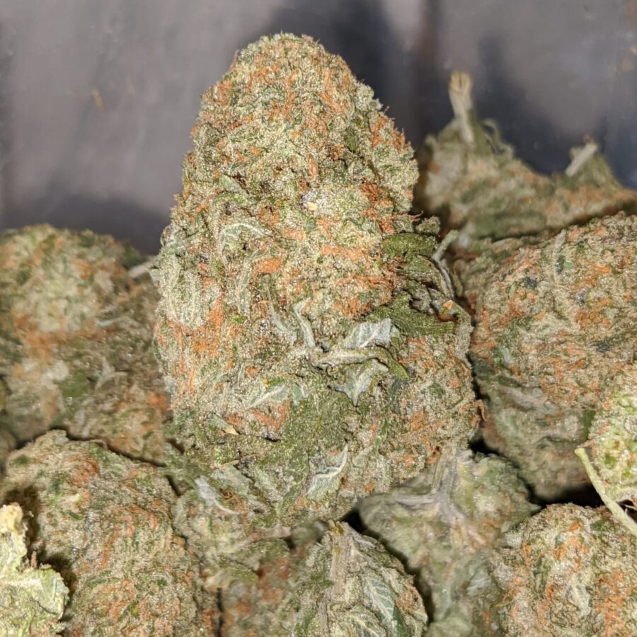 alien cookie dough 2 I Meet The Cookies